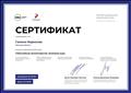 Сертификат успешного освоения онлайн-курса  "Событийное волонтёрство"