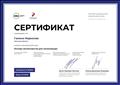 Сертификат успешного освоения онлайн-курса "Основы волонтёрства для начинающих"